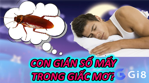 Con Gián Số Mấy Trong Giấc Mơ?