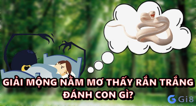 nằm mơ thấy rắn trắng đánh con gì