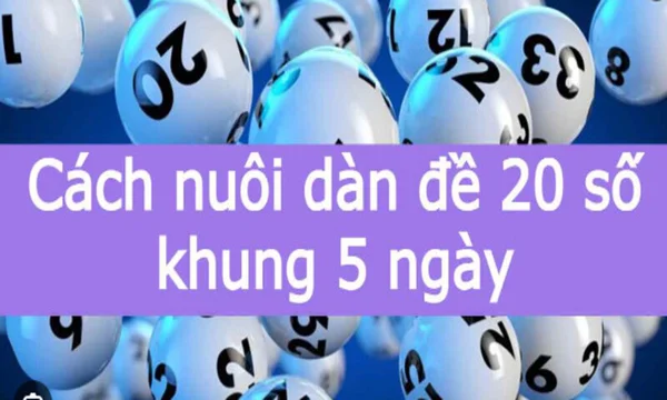 Nắm vững thông tin về dàn đề 20 số khung 5 ngày để sử dụng hiệu quả