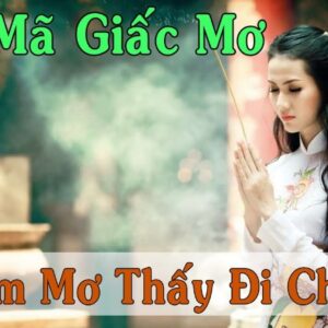 nằm mơ thấy chùa đánh đề con gì ? gi88