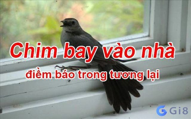 chim vào nhà báo hiệu điều gì