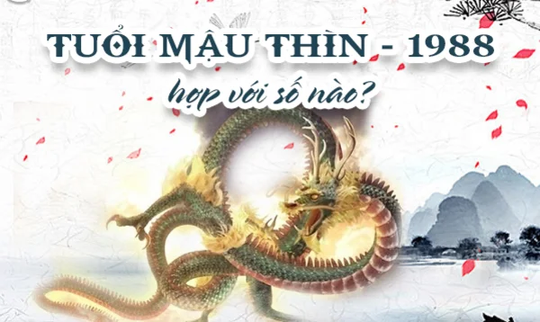 Số may mắn của tuổi mậu thìn - số chính là 3