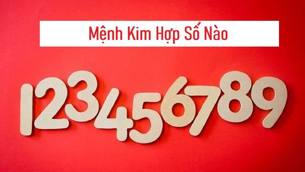 Người mệnh Kim hợp những số nào?