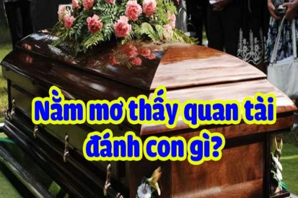 Mơ thấy quan tài đánh số mấy chi tiết giải đáp