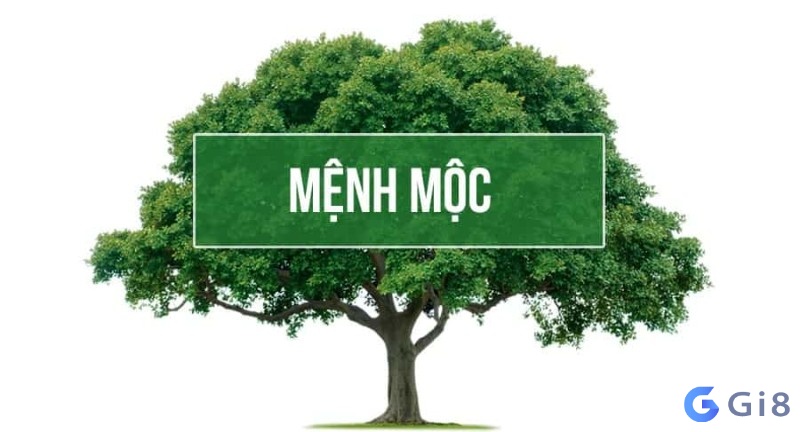  Mệnh Mộc là tượng trưng cho cây cối, cho sự sống ở trên trái đất