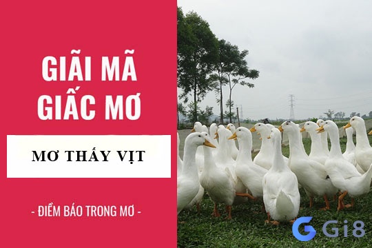 Con vịt là số mấy? Đánh đề bao nhiêu