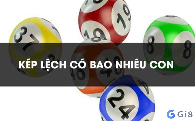 Kép lệch có những con nào? 