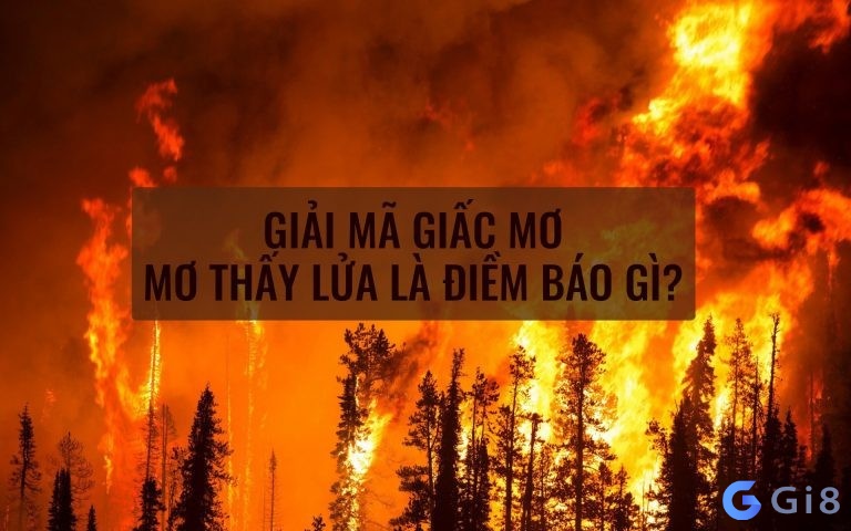 Lửa cháy số mấy