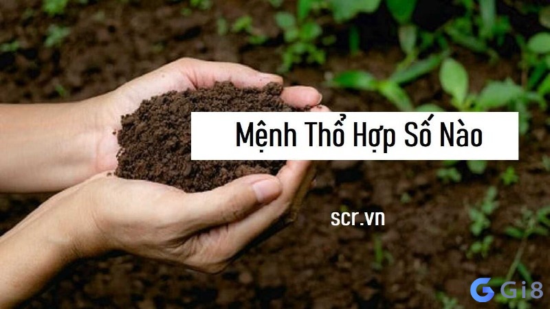 Mệnh thổ hợp số nào? Cùng gi88 tìm hiểu ý nghĩa những con số