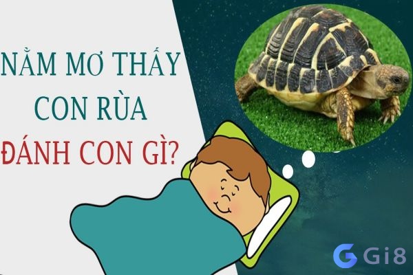 Khi mơ thấy rùa đánh đề con gì để đổi đời?