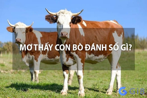 Nằm mơ thấy con bò đánh con gì để đổi vận?