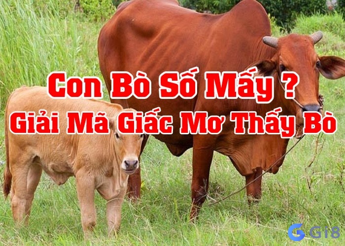 Mơ thấy con bò mang đến dự cảm gì cho bạn?