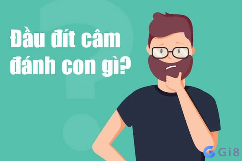  danh lo cam dau dit đánh con số nào để trúng