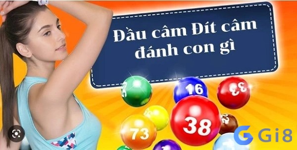 Sử dụng đuôi câm và đầu câm nuôi dàn đề 20 con