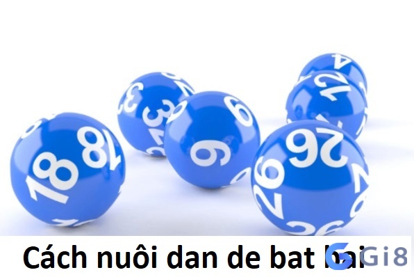 Cách nuôi dan de bat bai chuẩn nhất