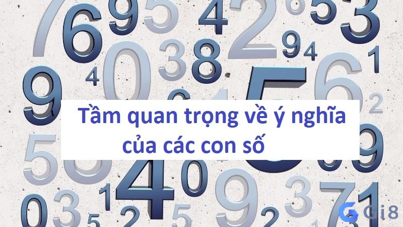 Tầm quan trọng của các số trong lô đề