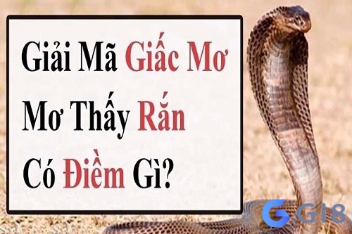 Chiêm bao thấy rắn đuổi là điềm gì?