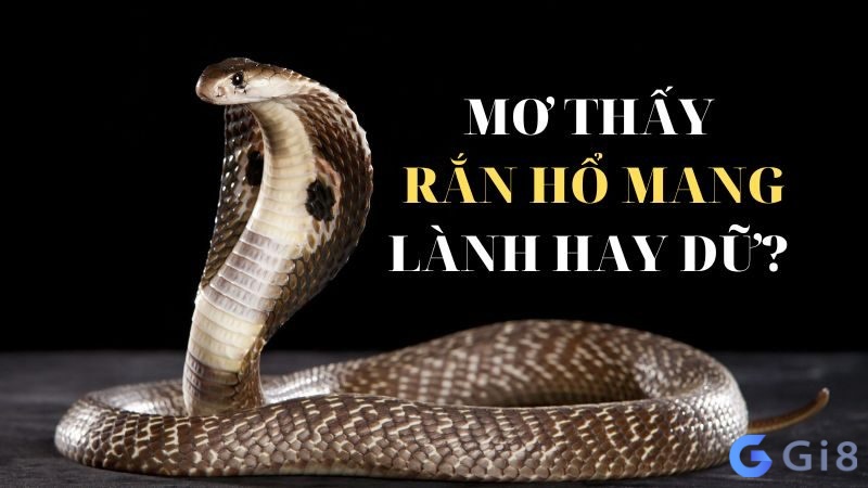 Chiêm bao thấy rắn hổ mang rượt đuổi mình