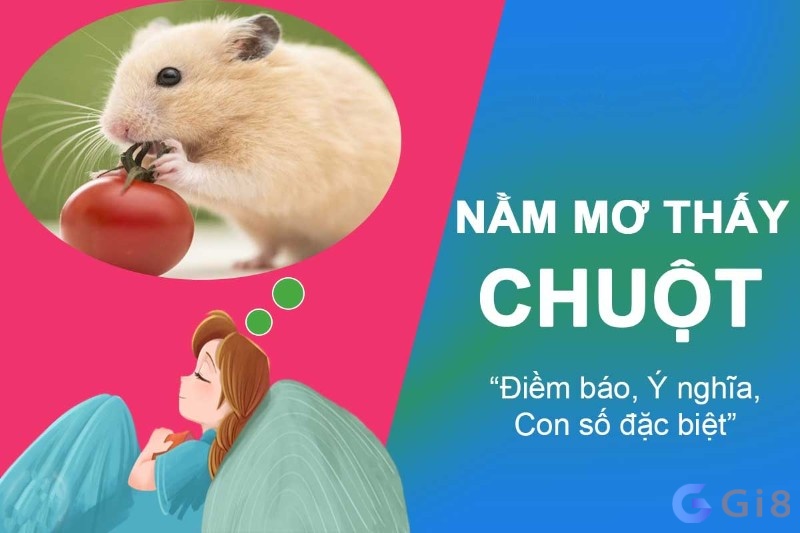 Ý nghĩa của việc chiêm bao thấy chuột