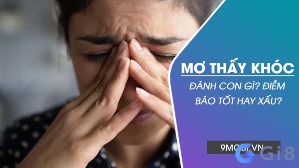 Tìm hiểu ngay giấc mơ thấy mình khóc nức nở đánh con gì nhé