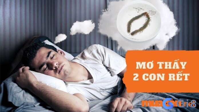 Nằm mơ thấy 2 con rết - điềm báo gì? Nằm mơ thấy con rết đánh số gì chuẩn nhất?