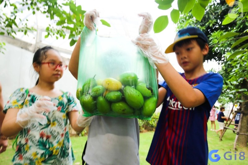 Chủ mơ ghi nhớ rõ tình tiết để có được điềm báo chuẩn xác 