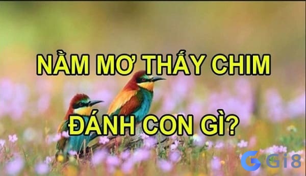 Mộng nằm ngủ mơ thấy con chim đánh đề con gì may mắn