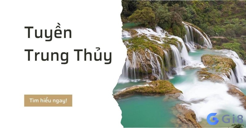 Mệnh tuyền trung thuỷ là một trong sáu mệnh thuộc hành thủy trong ngũ hành