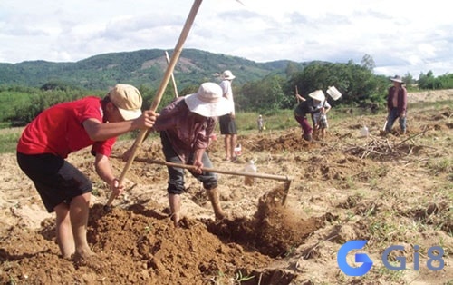 Đi sâu vào “mơ thấy cuốc đất đánh đề con gì” tại gi88 nhé!